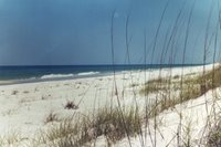 Santa Rosa Island, FL (D. Cox)