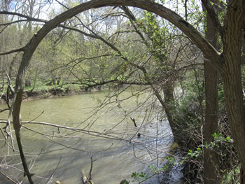 View across Antietam from Christ's Brigade